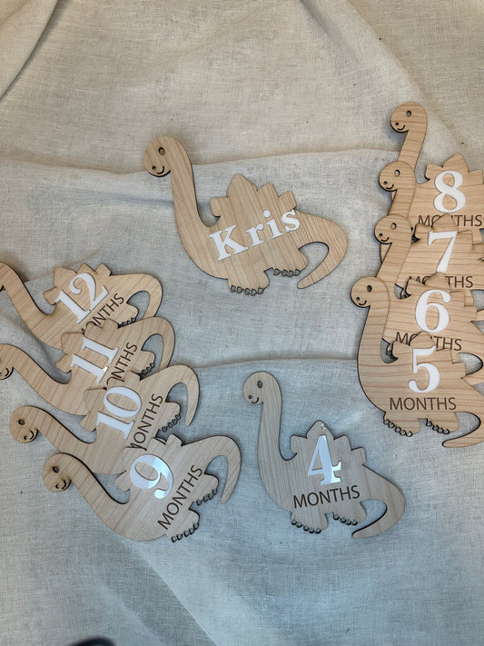 Dinosaur Baby Milestone Set