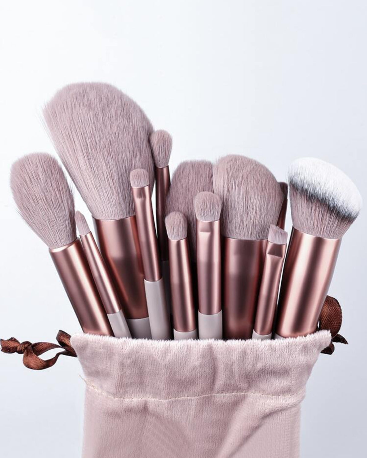 Makeup brush set (13pcs)